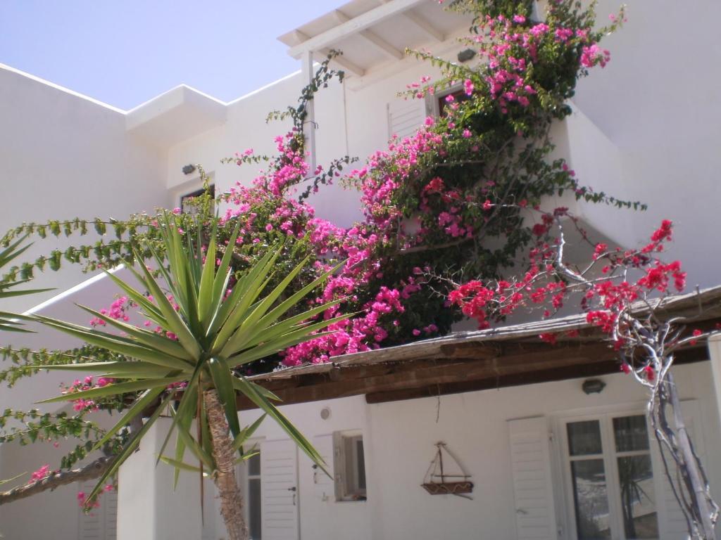 Paros Rita Studios Piso Livadi Exterior photo